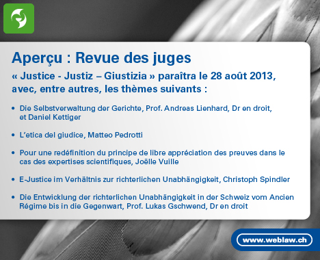 Apercu: Revue des juges 2013
